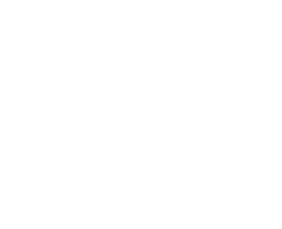 Dan King