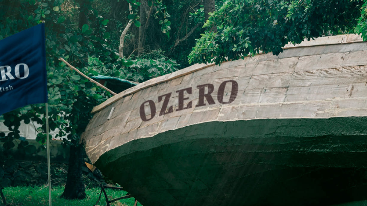 OZERO — портфолио BrainTeam