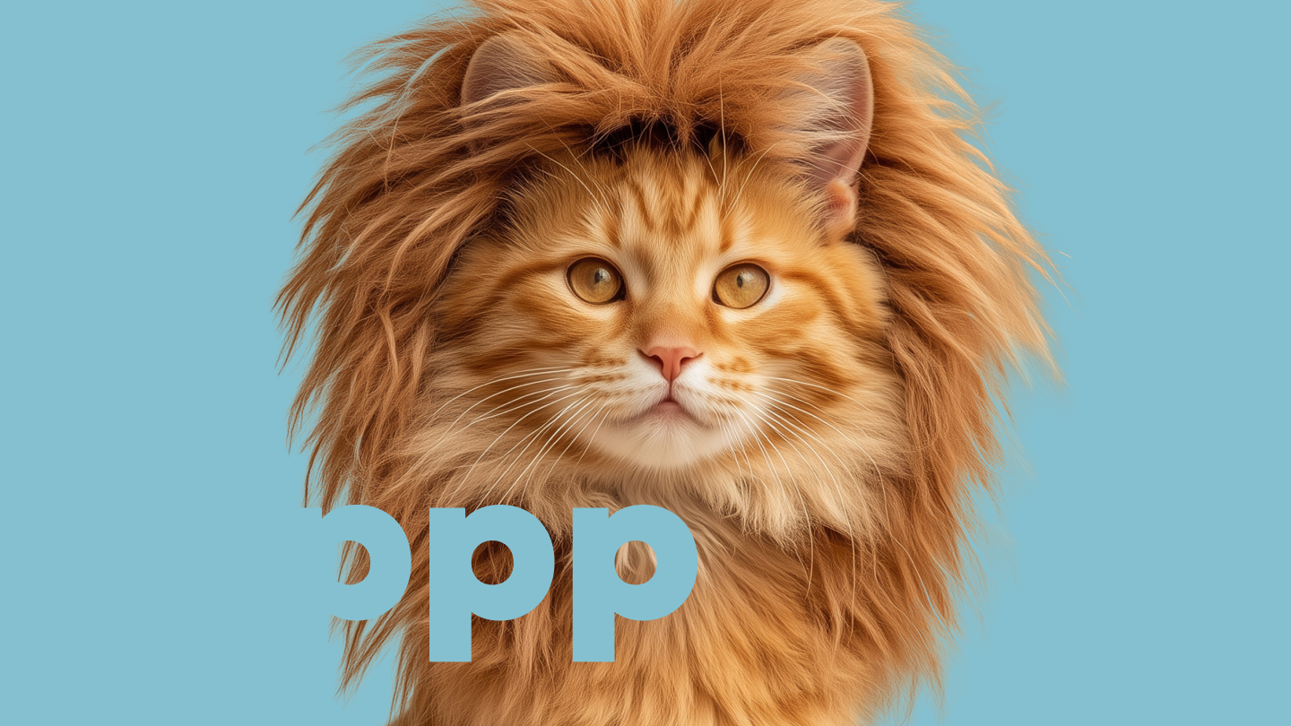 savanna — портфолио BrainTeam