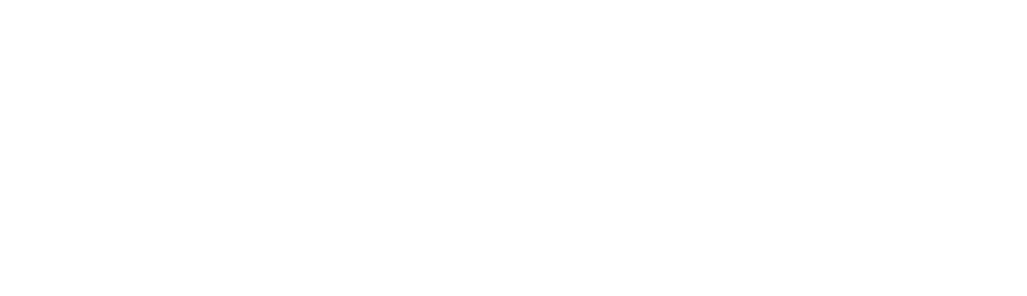 Понеслась